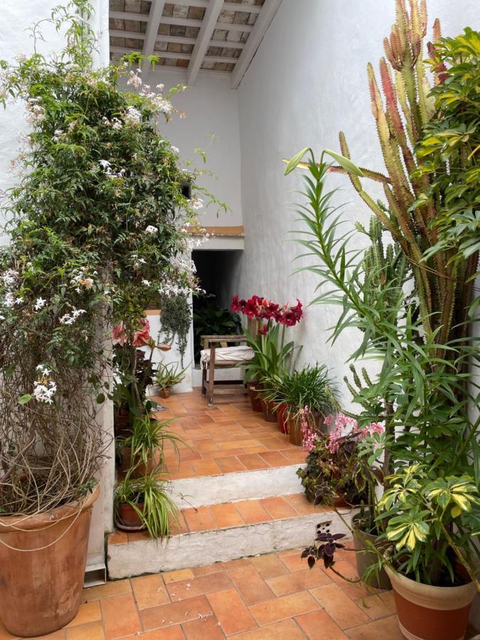 Вилла Casa Dulce Вьер де ла Фронтера Экстерьер фото